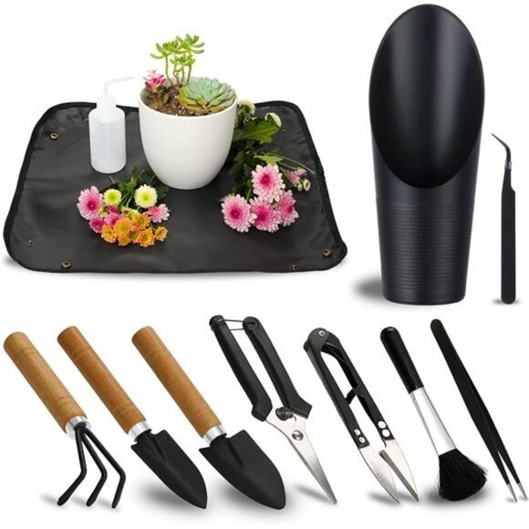 11Pcs Succulent Tools,Garden Tools,Succulent Watering Tool as Plant Accessories - Picture 1 of 7